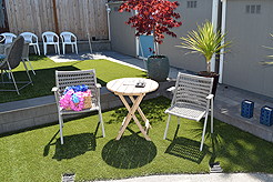 MOMENTUM - MULTI-VENDOR